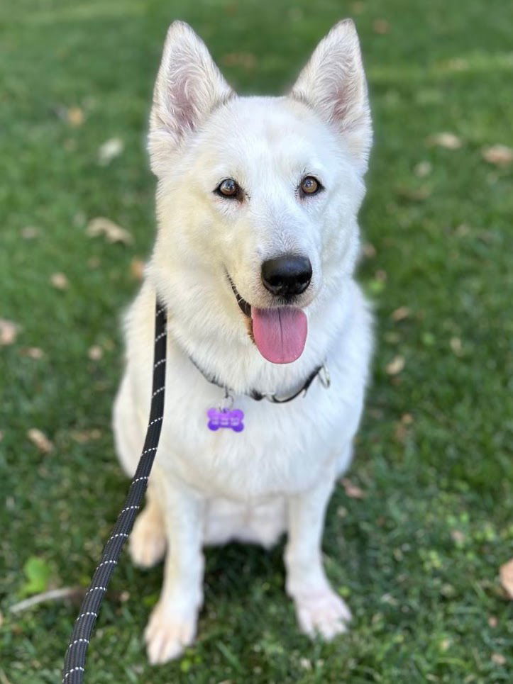 KONA