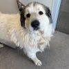 Butters photo 2