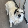 Butters photo 3