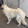 Butters photo 5