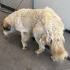 Butters photo 6