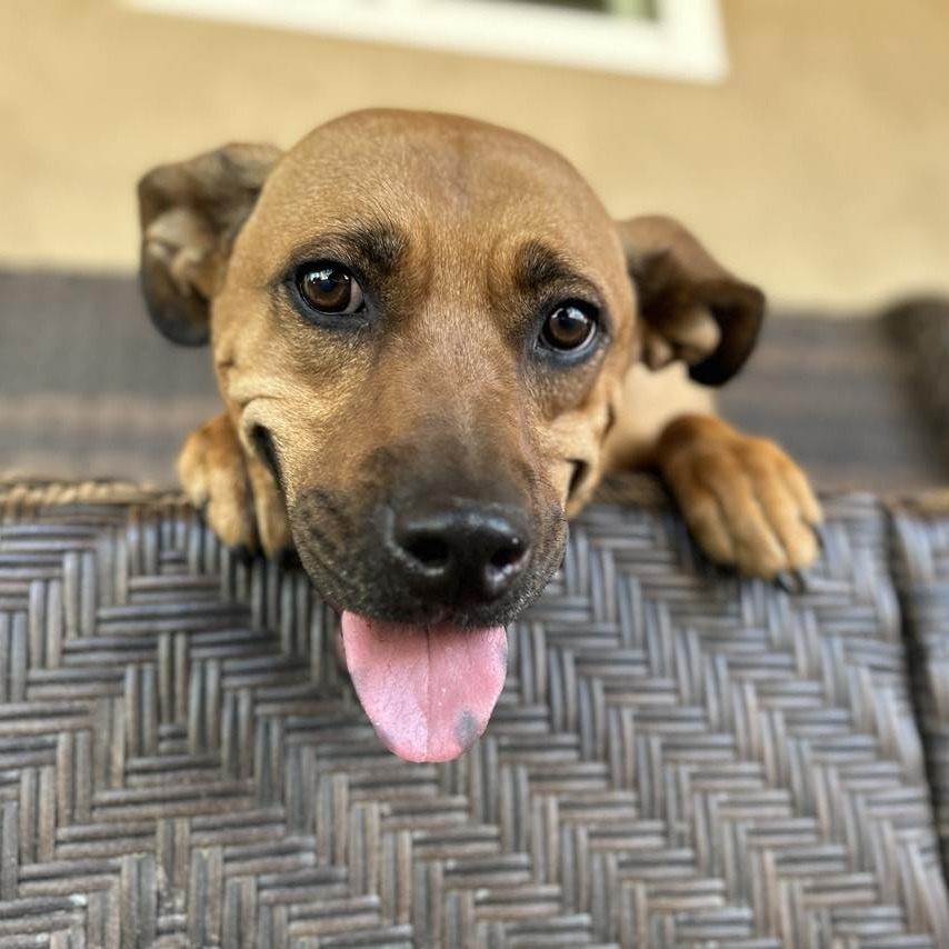 Mr. Wiggles