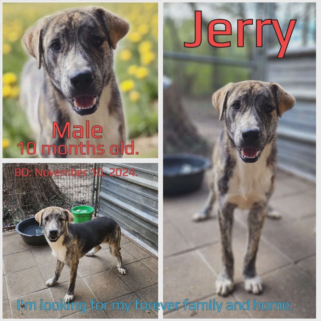 Jerry