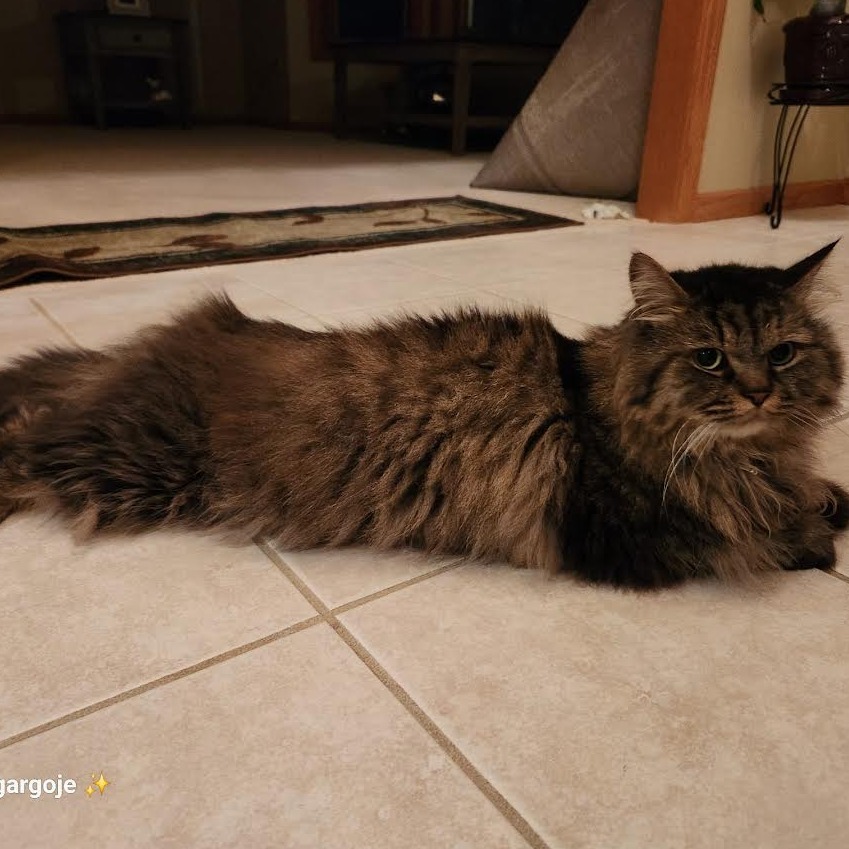 Rumi C63492 bonded w/Neville