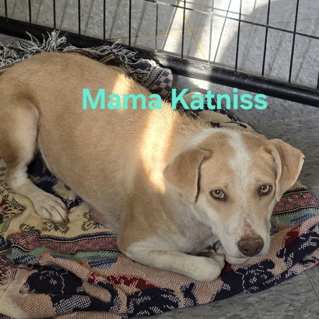 Kaia