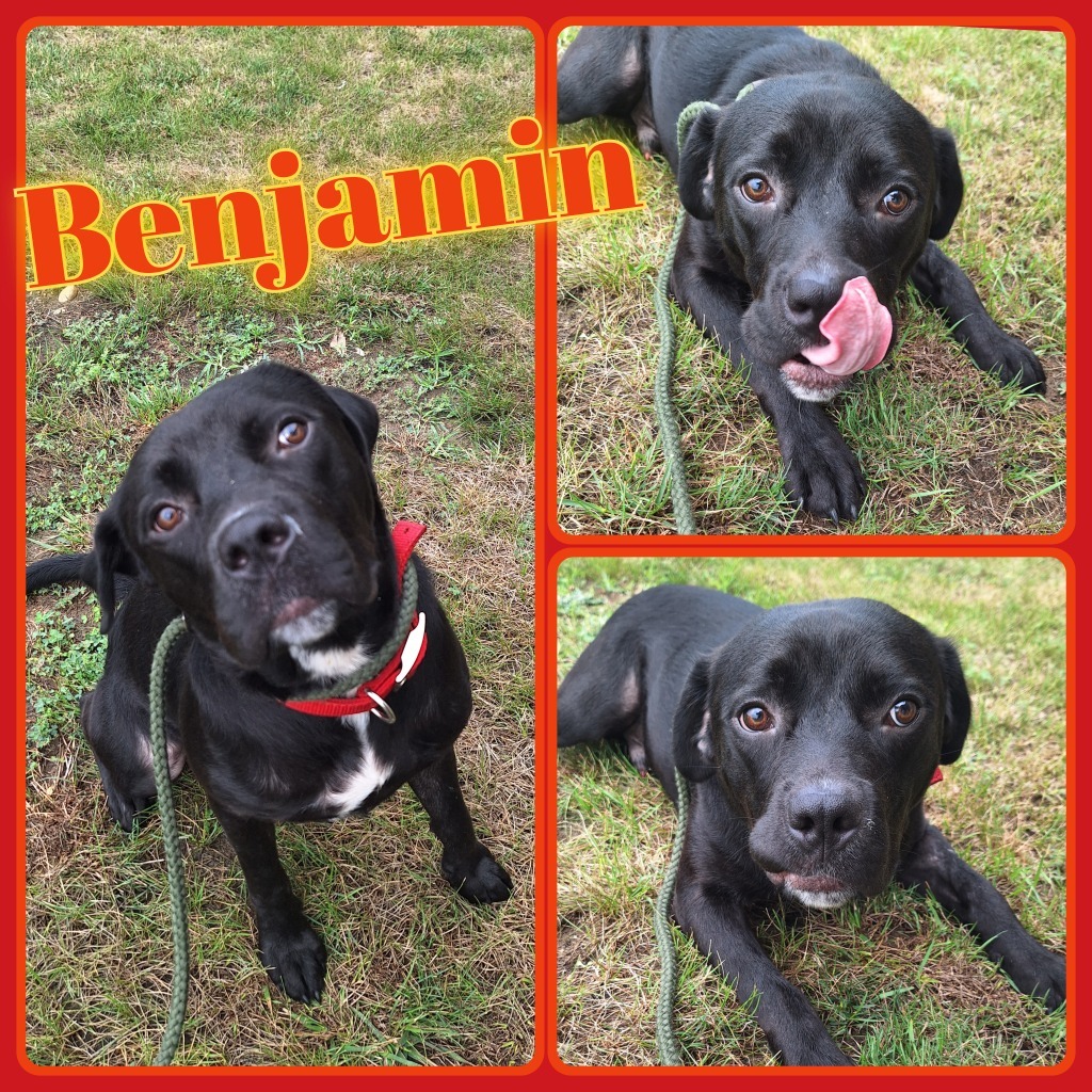 Benjamin