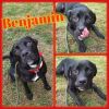 Benjamin photo 1