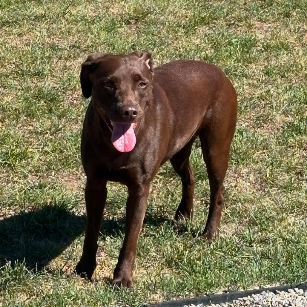 Coco