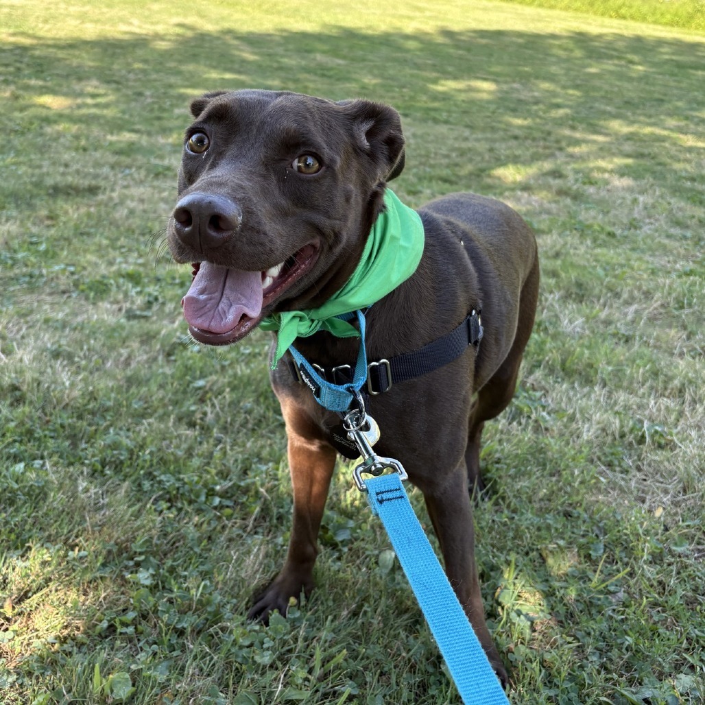 Coco