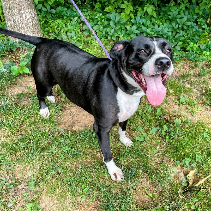 Bonnie