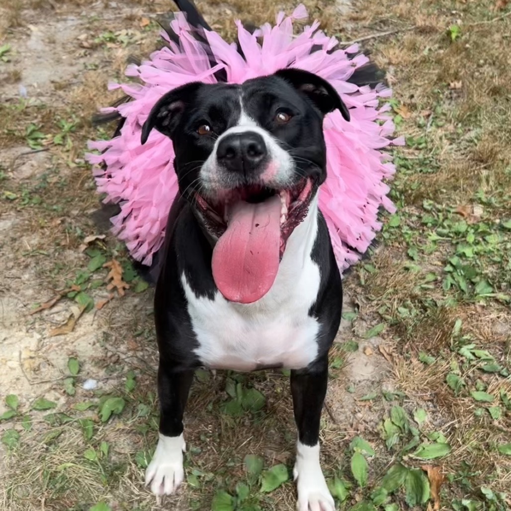 Bonnie