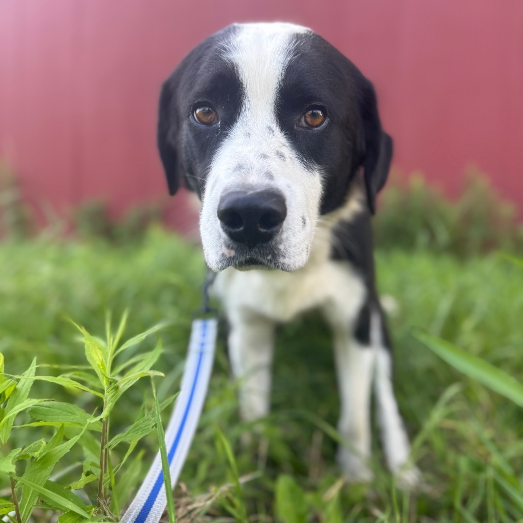 Benny