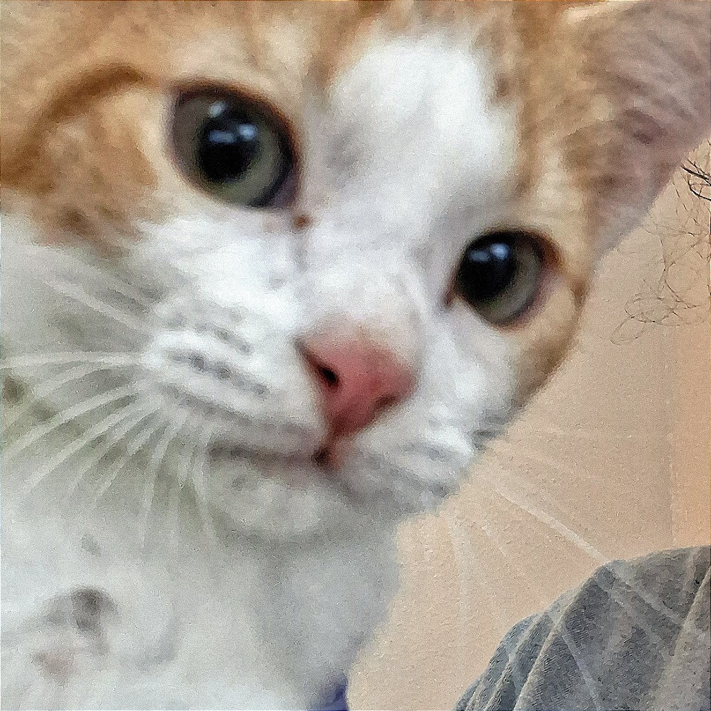 Cora