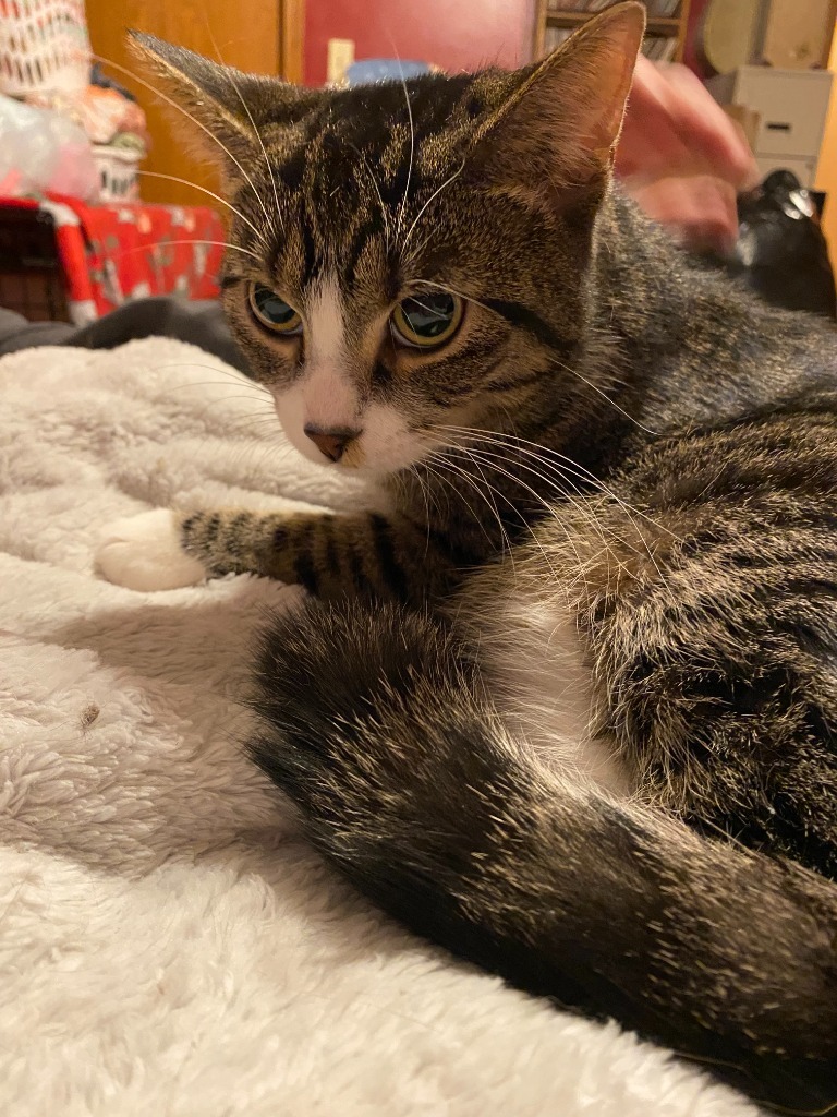 Masala