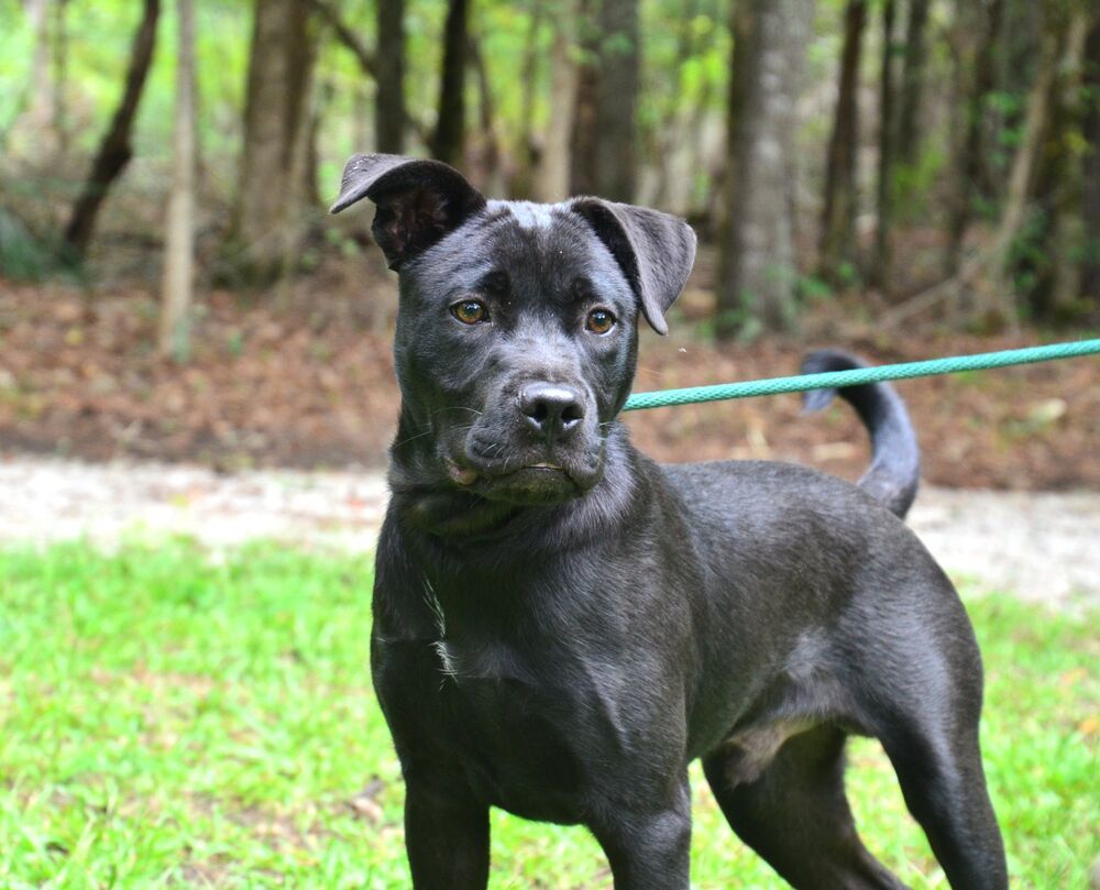 Milo