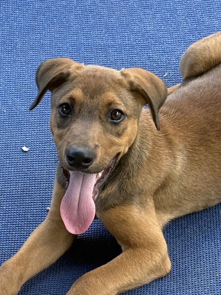 Tucker