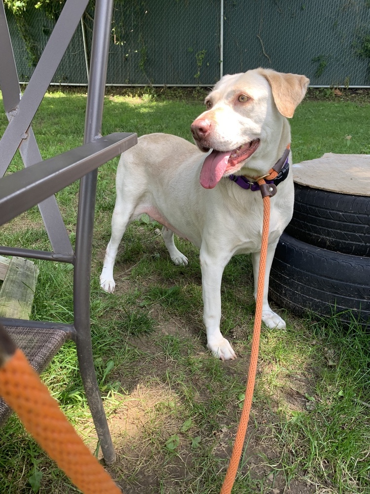 Lucky 1 aka Lucky Duck