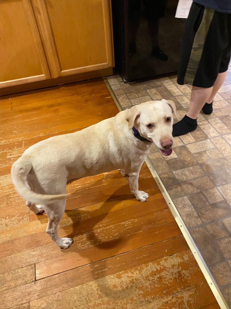 Lucky 1 aka Lucky Duck