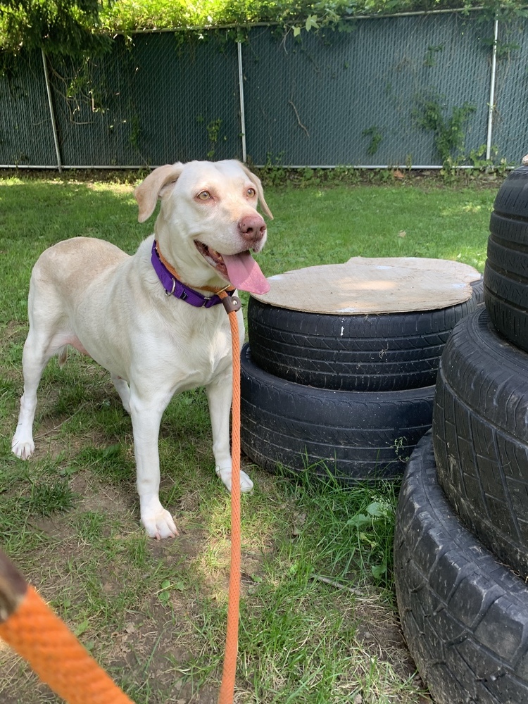 Lucky 1 aka Lucky Duck