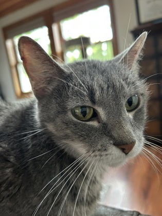 Emmy