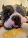 Ronnie / Bernie photo 6