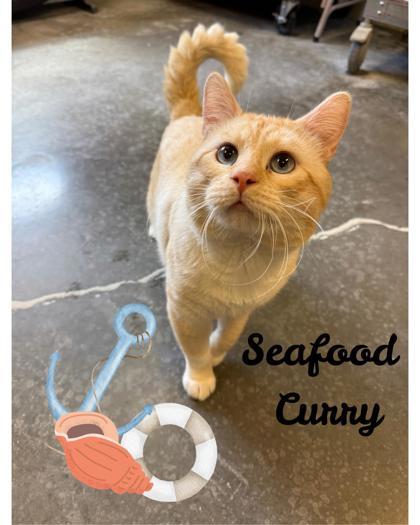 Seafood Curry