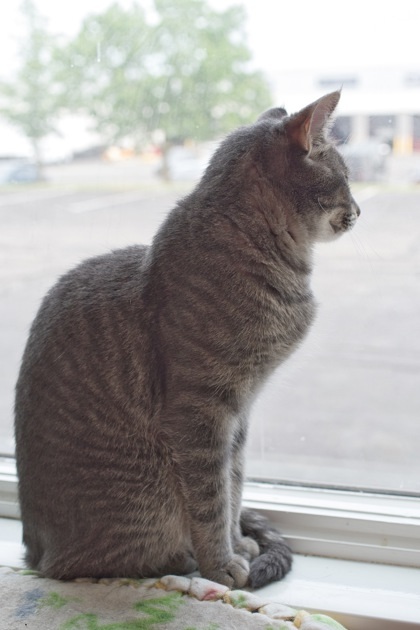 Arthur (bonded with Frank)