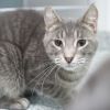Arthur (bonded with Frank) photo 3