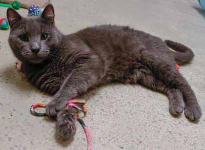 Frank (bonded with Arthur)