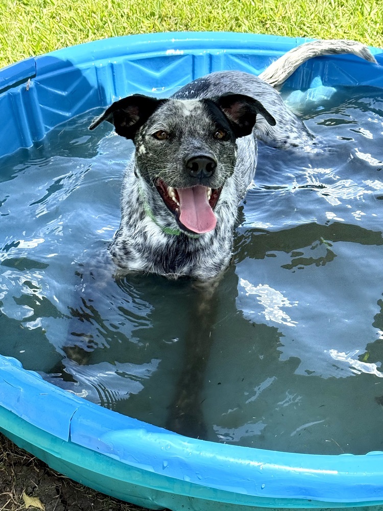 Buoy