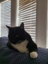 Jake photo 3
