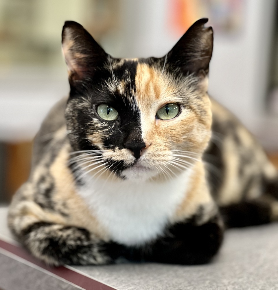 Juliet