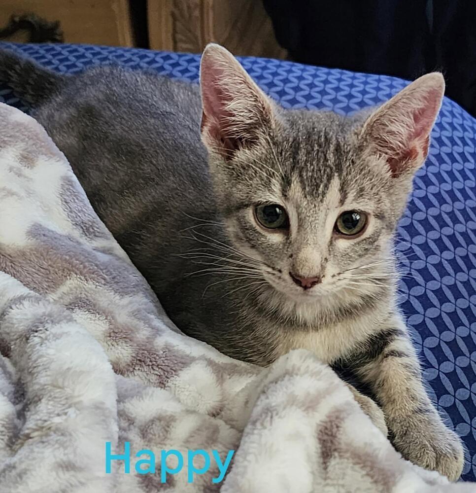 Happy