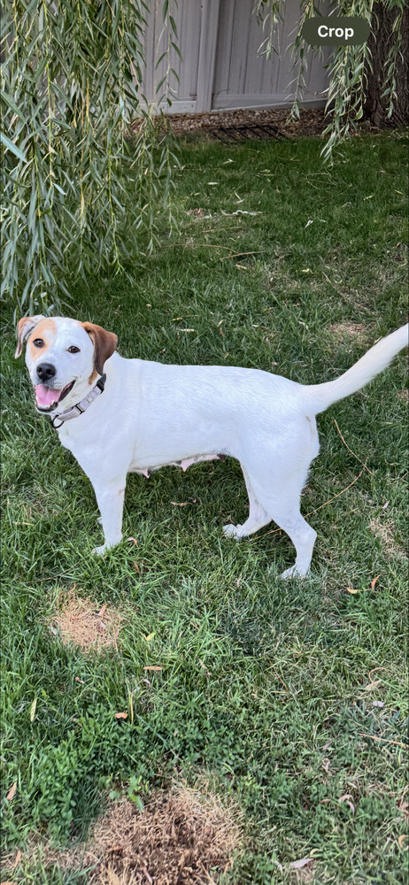 Chloe