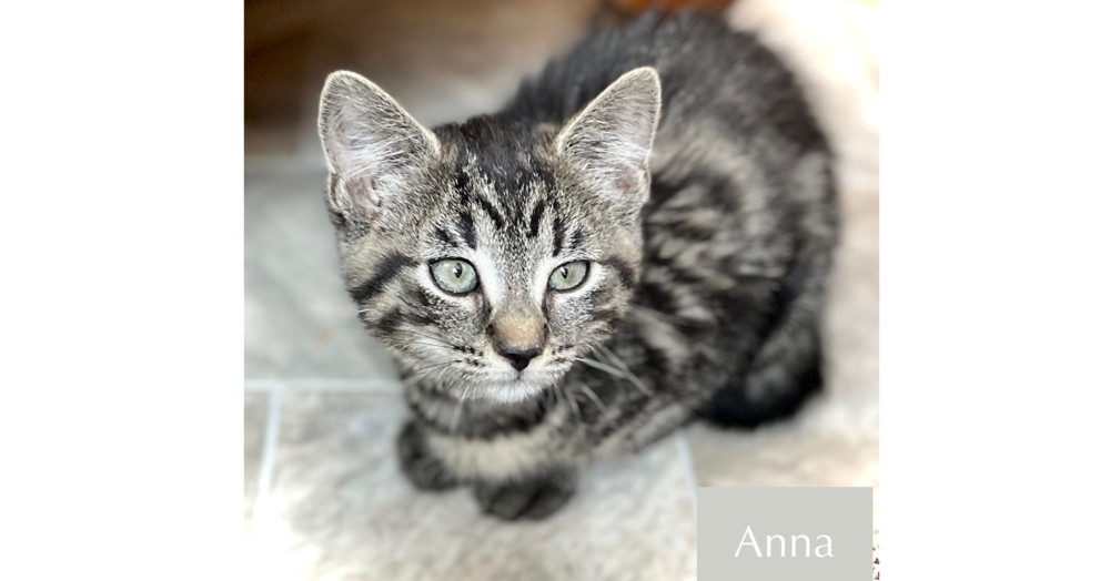 Anna
