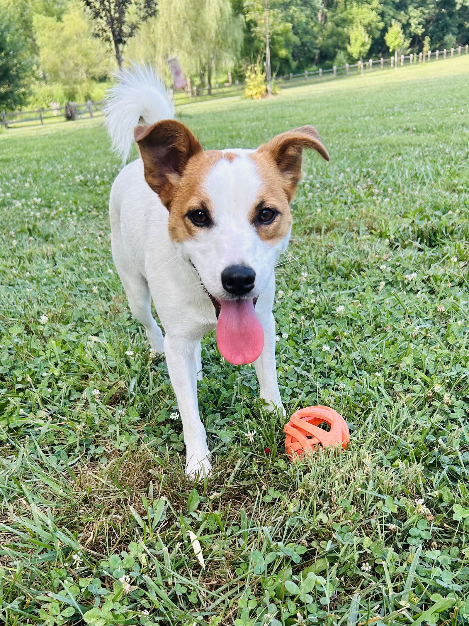 Benny