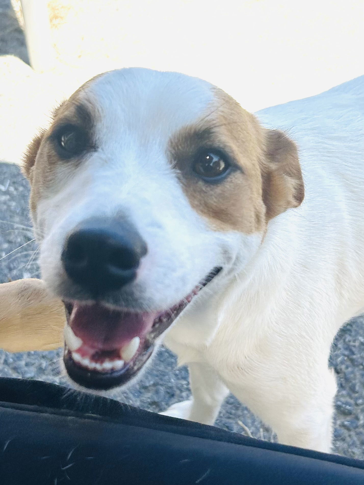 Benny