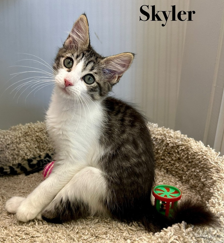 Skyler