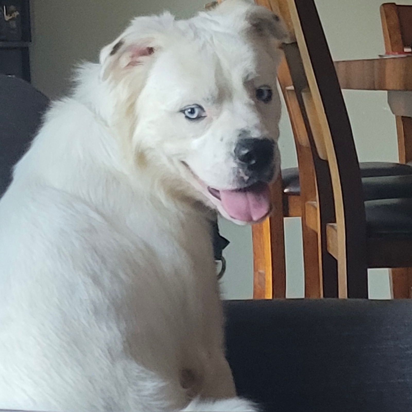 Falcor