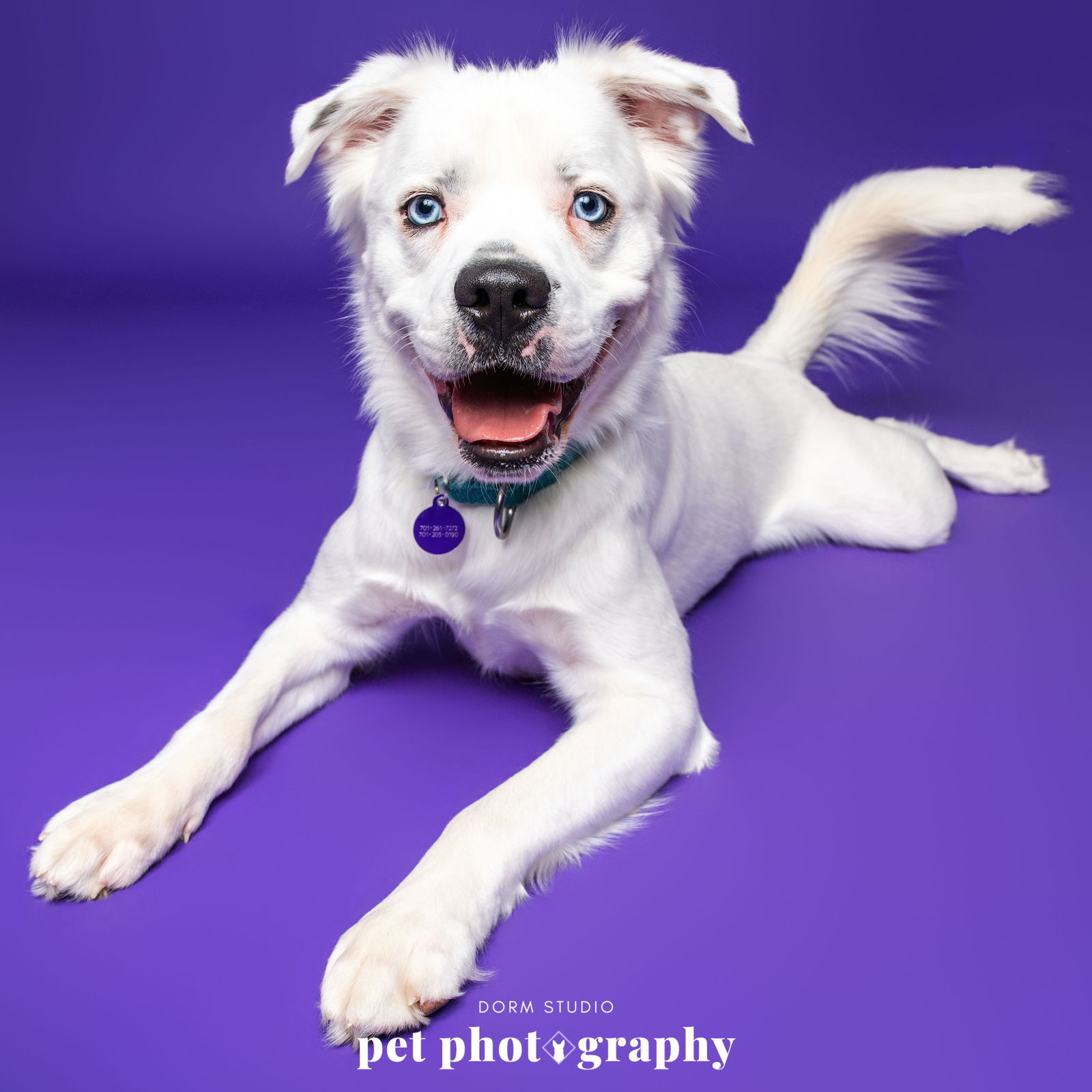 Falcor