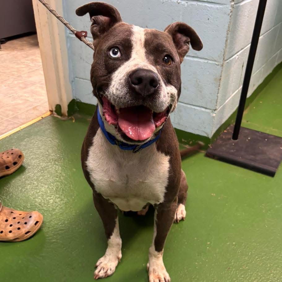 John Wayne: At shelter