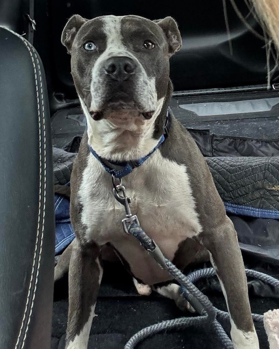 John Wayne: At shelter