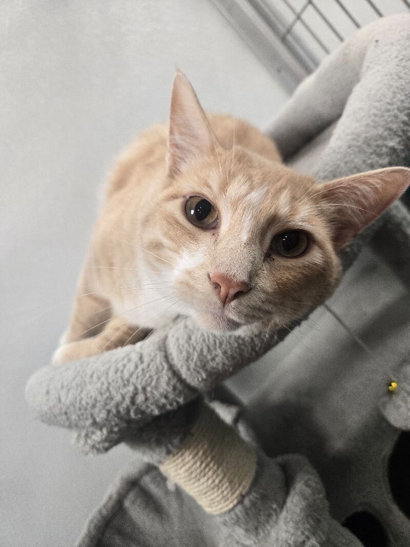 Benny