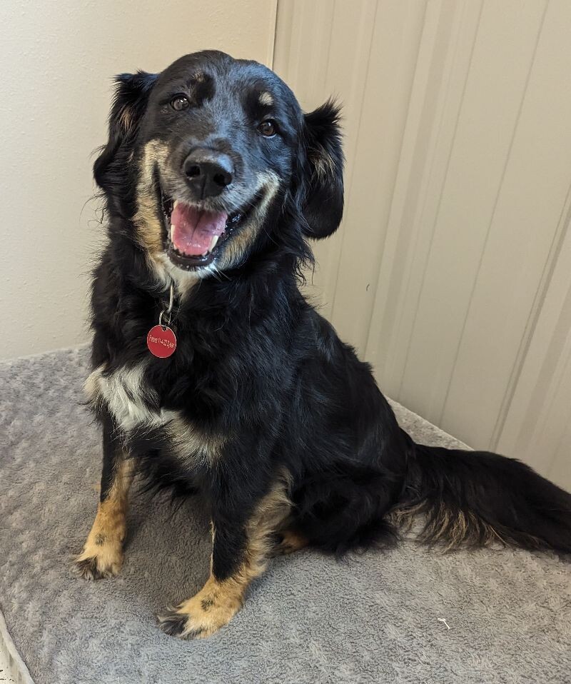 (Koda) Dakota