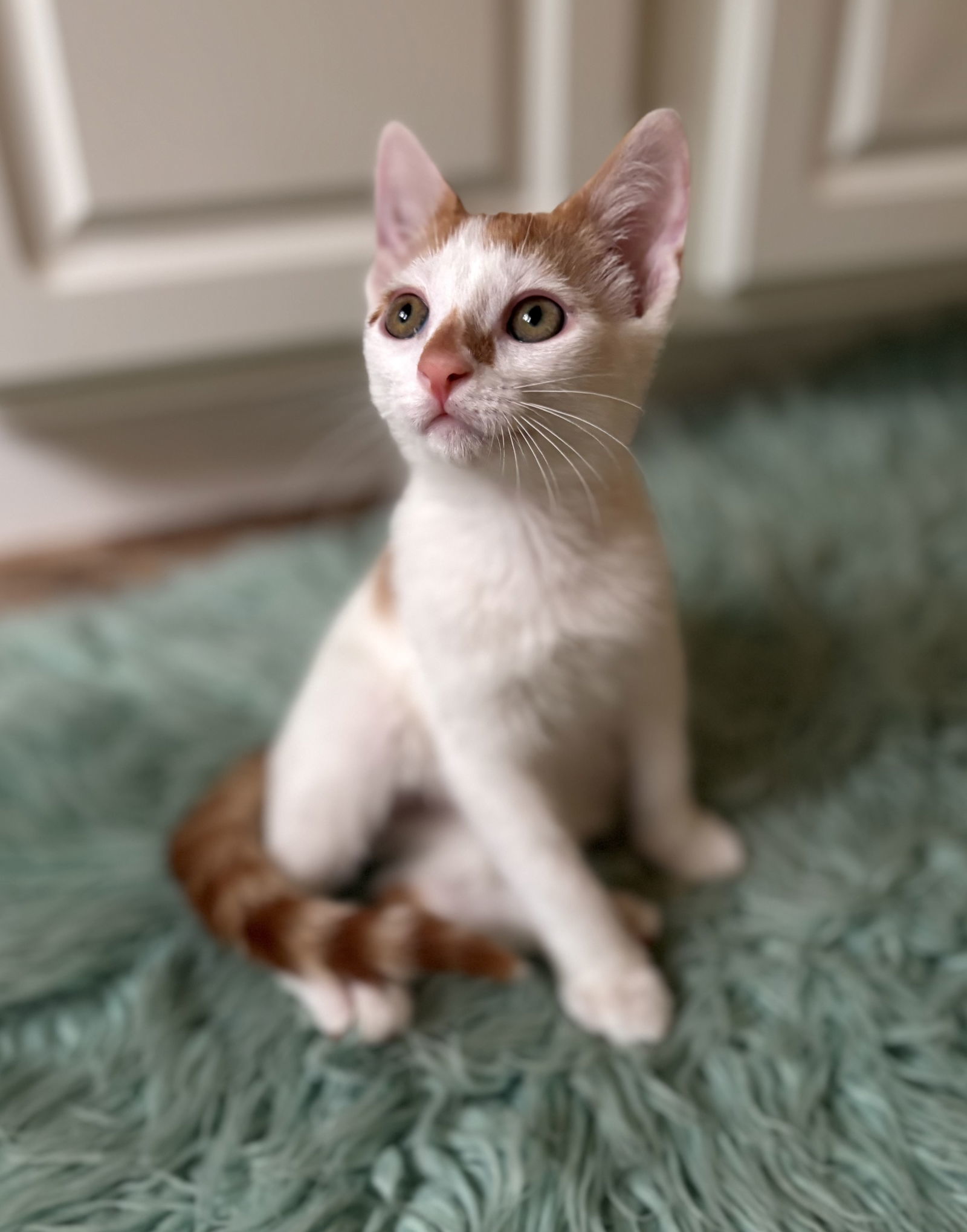 Reggie