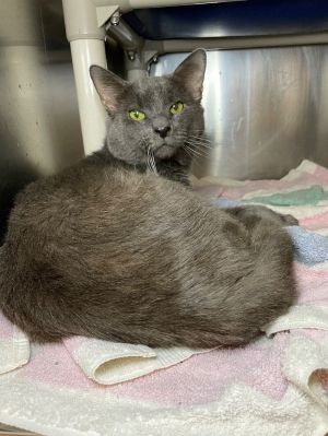 Sampson 10, Senior Male unknown