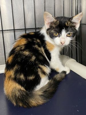 Bloom, Young Female unknown