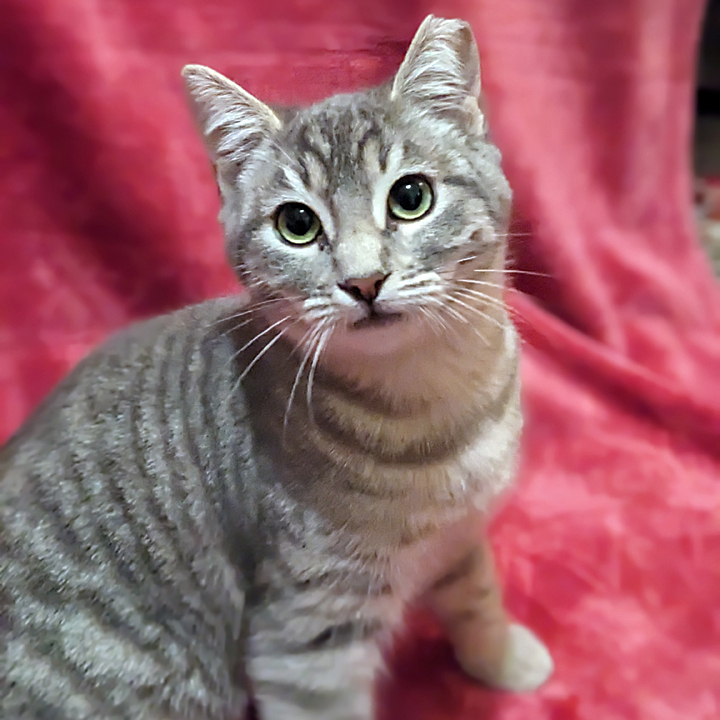 Lena