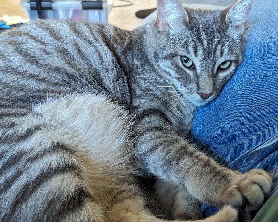 Lena