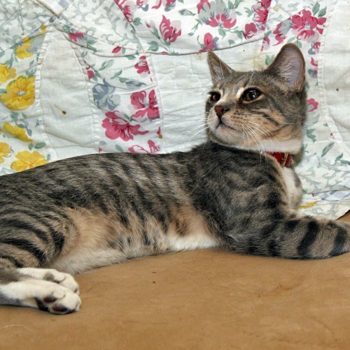 Ton